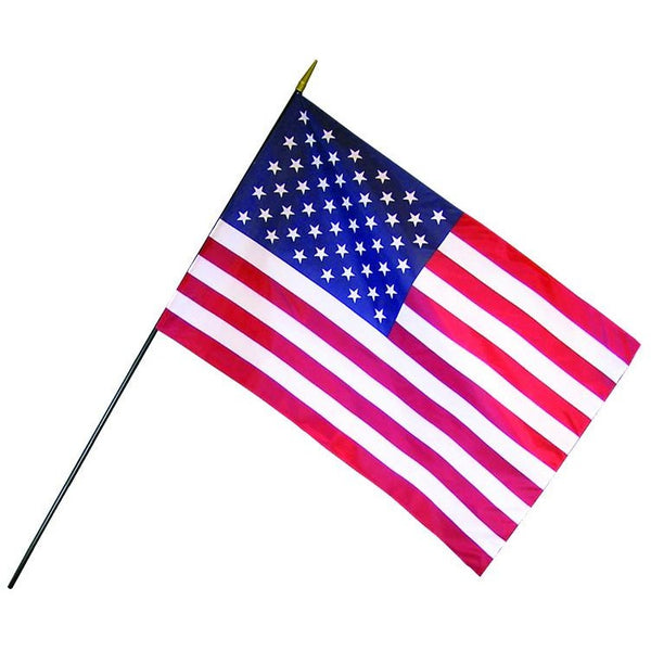 USA Flag W/ Staff