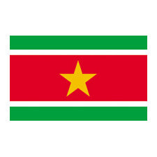 Suriname Flag