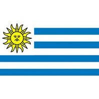 Uruguay Flag