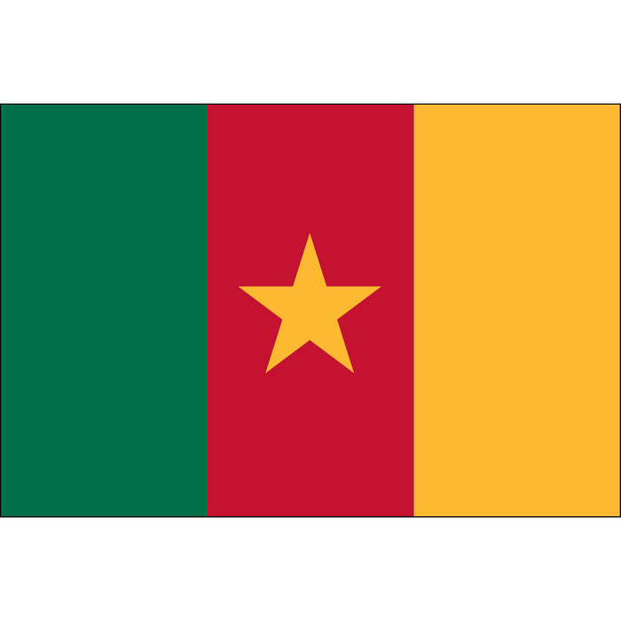 Cameroon Flag