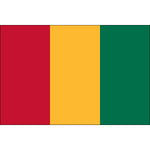 Guinea Flag